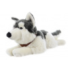 Lamps Husky