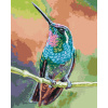 ZUTY Maľovanie podľa čísel - KOLIBRÍK NA KONÁRI Rámovanie: vypnuté plátno na rám, Rozmer: 40x50 cm