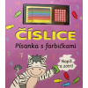 Číslice - Písanka s farbičkami - Denisa Valachová