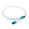 Chord C-lite digital optical audio (Optický kabel TOS - TOS 3 m)