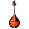 Stagg M20