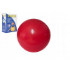 Unison gym ball 55 cm