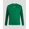 Castore Ireland Hype SweatShirt Mens 2025 Green M