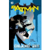 Batman 8: Chladné dny