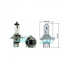 Top Lamp Žiarovka HS1 12V 35/35W PX43T