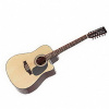 12-strunová elektro-akustická gitara HB NT