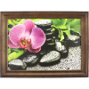 Feng shui obraz Orchidea, Bambus, Kamene