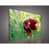 Obraz na plátne obdĺžnik - OB0672 - Červený kvet 80cm x 60cm - O6