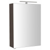 Sapho RIWA galérka s LED osvetlením, 50x70x17cm, borovica rustik SPH RIW050-0016