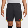 Nike Liverpool Strike Third Shorts 2024 2025 Adults Grey XL