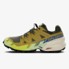 Salomon Speedcross 6 GTX EUR 46