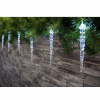 MagicHome Reťaz Icicle 12 LED studená biela 12 cencúľov 3xAA IP44 exteriér L-2,20 m