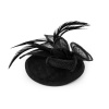 Stoklasa Fascinátor / klobouček květ s peřím - 2 černá