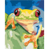 Zuty Diamantové maľovanie ŽABA SEDICA NA LISTE 40x50 cm bez rámu a bez vypnutia plátna