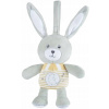Chicco First Dreams Musical Bunny s lampou (Chicco First Dreams Musical Bunny s lampou)