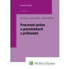 Pracovné právo v poznámkach s príkladmi - Jana Žuľová, Dolobáč Marcel, Monika Minčičová