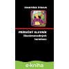 E-kniha Príručný slovník literárnovedných termínov - František Štraus