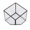 Sklenené terárium v prípade Cube Greenhouse Mech (Sklenené terárium v prípade Cube Greenhouse Mech)