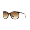 Ray-Ban RB4126 CATS 1000 710/51