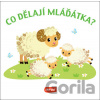 Co dělají mláďátka? - INFOA