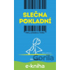 E-kniha Slečna pokladní - Nina Hořínová
