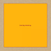 Leaving Meaning Swans CD