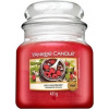 Yankee Candle Red Raspberry 411 g