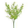Canea Eukalyptus mini trs 30 cm - zelená světlá