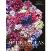 Hydrangeas