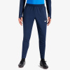 Nike Academy Pro L