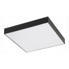 Záhradná fasádna lampa - TARTU stropné svietidlo 24W 2800/4000/6000K 2500lm IP44 300mm čierne (Tarts Felon 24W 2800/4000/6000K 2500 lm IP44 300 mm čierny)