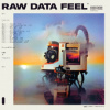 Everything Everything - Raw Data Feel / Clear / Vinyl [LP]