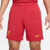 Nike Liverpool Home Shorts 2024 2025 Adults Red 2XL