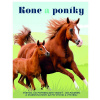 Kone a poníky
