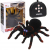Diaľkovo ovládaný Nobo Kids pavúk Tarantula
