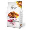 Brit krmivo granulát 0,3 kg morča
