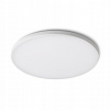 Rendl R13584