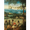 Bruegel Jürgen Müller;Thomas Schauerte