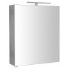 Sapho RIWA galérka s LED osvetlením, 60x70x17cm, dub strieborný SPH RIW060-0011