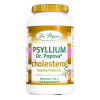 Dr. Popov Psyllium Cholesterol 120 kapsúl