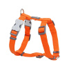 Red Dingo postroj jednofarebný 15 mm x 36-54 cm oranžový