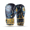Boxerské rukavice DBX BUSHIDO ARB-Kids-v5 6 oz.