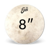 Evans Calftone Priemer blany: 8