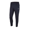 Detské tréningové nohavice Academy 19 AJ9291-451 - Nike 128 cm