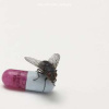 CD Red Hot Chili Peppers: I'm With You