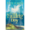The Falling Boy - David Almond