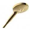 Axor ShowerSolutions sprchová hlavica zlatá 26050990