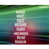 Pocit nočního vlaku (Radek Malý) - DVD