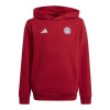 Detská mikina Bayern Mníchov Jr IT4134 Red - Adidas 152