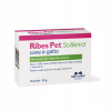 NBF Lanes Ribes Pet Sollievo 30 s CBD na dermatózu